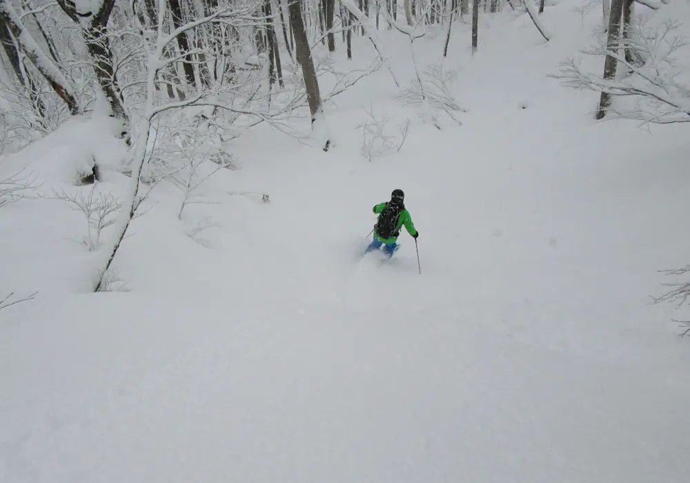 ⛷️ 마이코 스노 리조트 이미지 4